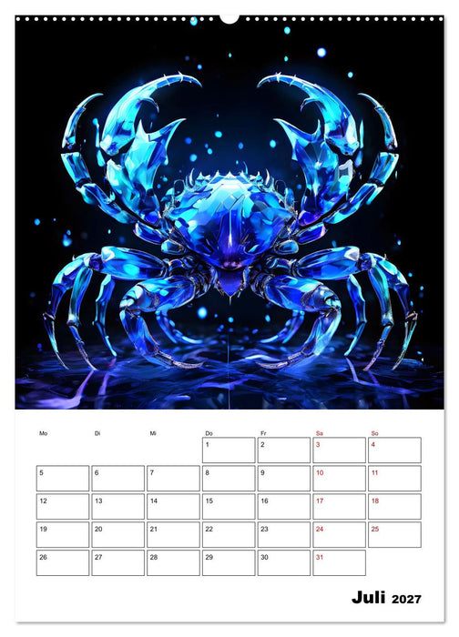 Die Konstellationen der Sterne (CALVENDO Premium Wandkalender 2027)