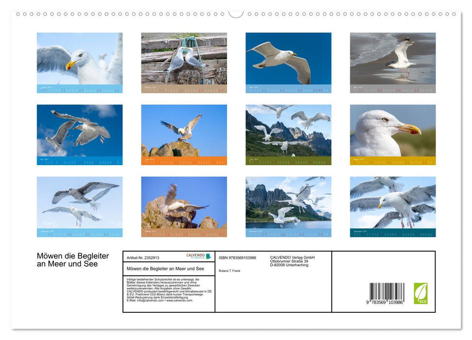 Möwen die Begleiter an Meer und See (CALVENDO Premium Wandkalender 2027)