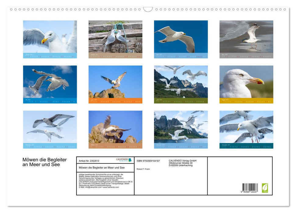Möwen die Begleiter an Meer und See (CALVENDO Wandkalender 2027)