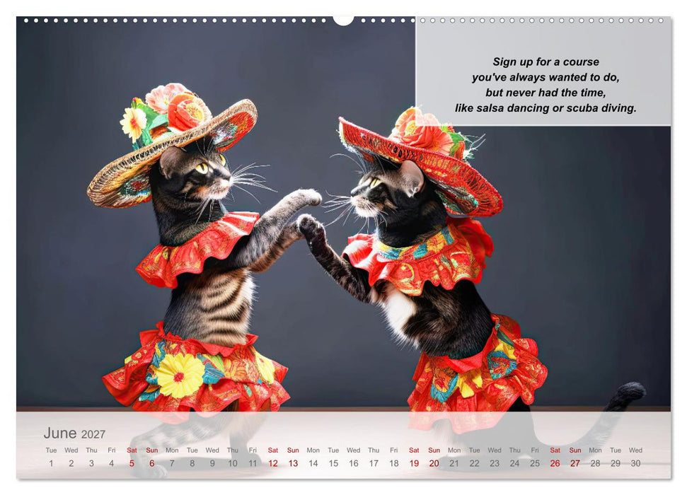 Positive new start after divorce (CALVENDO Monthly Calendar 2027)
