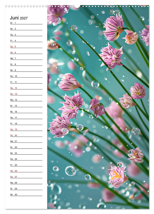 Kräuterfrische (CALVENDO Premium Wandkalender 2027)