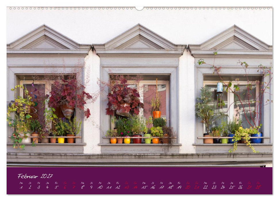 Fenster & Fassade (CALVENDO Premium Wandkalender 2027)