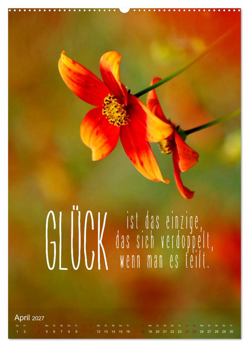 ICH WÜNSCHE DIR GLÜCK - 12 Monate mit inspirierenden Glückszitaten (CALVENDO Wandkalender 2027)