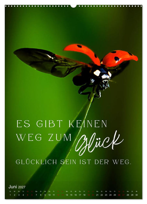 ICH WÜNSCHE DIR GLÜCK - 12 Monate mit inspirierenden Glückszitaten (CALVENDO Wandkalender 2027)