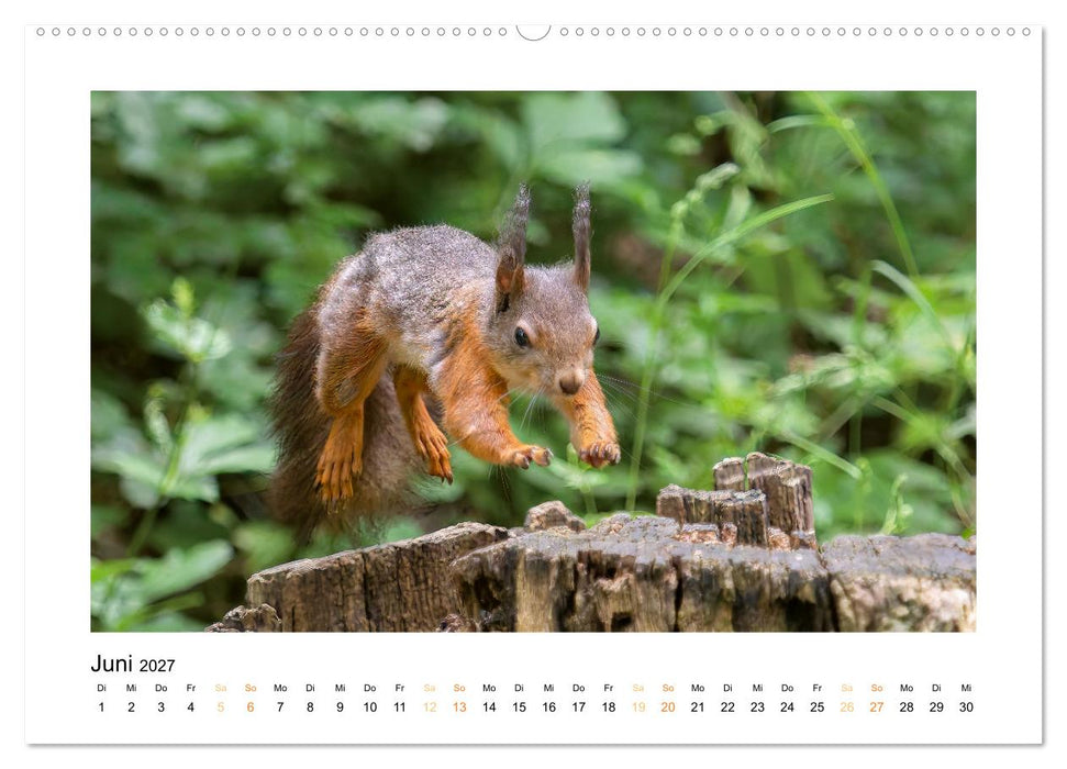 Wiener Tierwelt (CALVENDO Premium Wandkalender 2027)