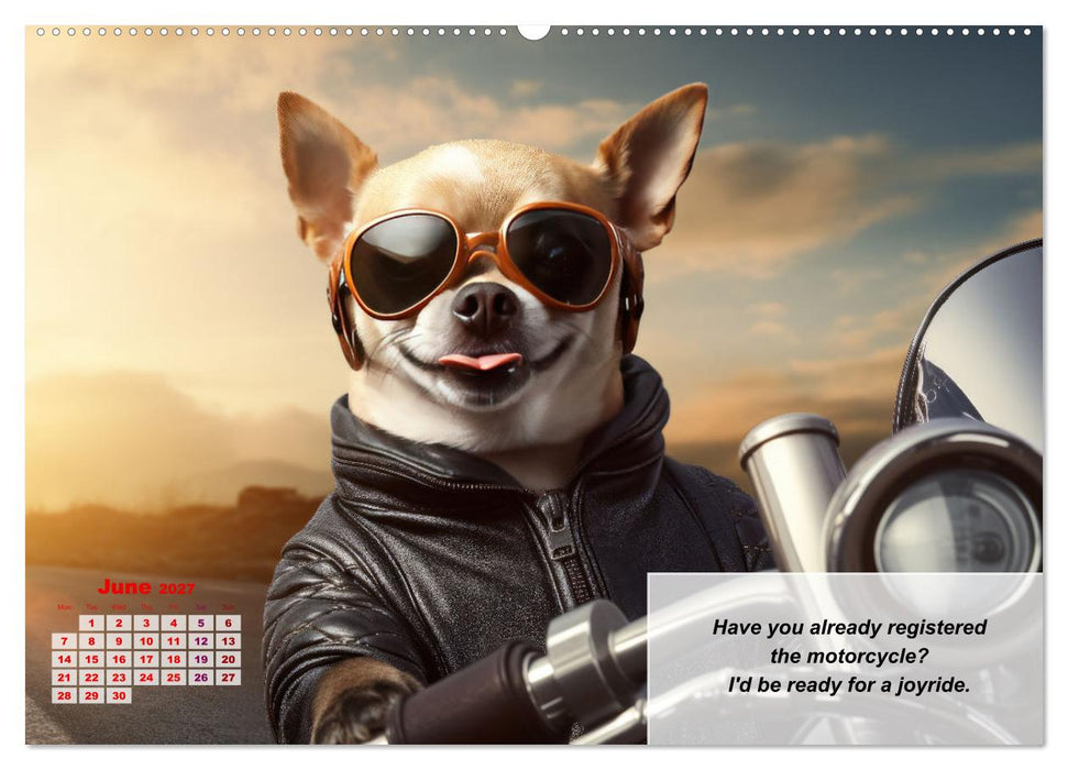 Great fun for Chihuahua lovers (CALVENDO Monthly Calendar 2027)