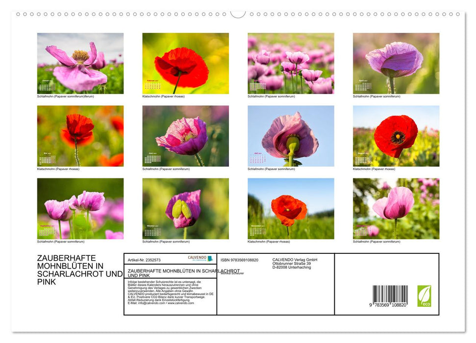 ZAUBERHAFTE MOHNBLÜTEN IN SCHARLACHROT UND PINK (CALVENDO Premium Wandkalender 2027)