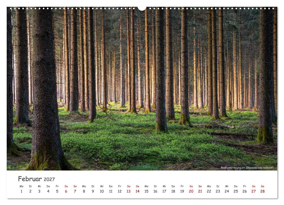 Heimat Entdecken - Sagenhafte Eifel (CALVENDO Wandkalender 2027)