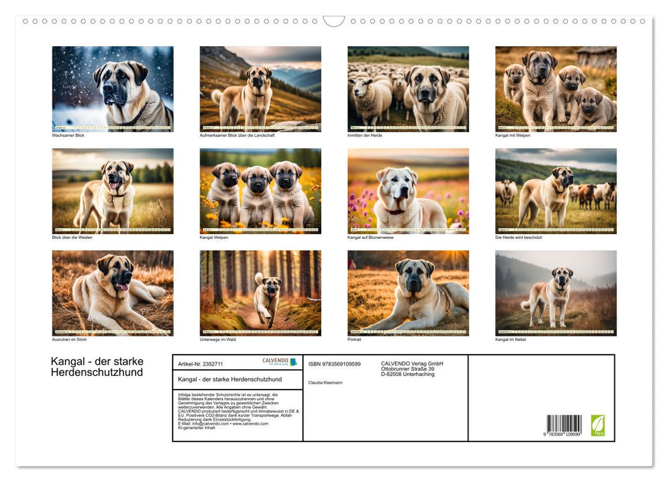 Kangal - der starke Herdenschutzhund (CALVENDO Wandkalender 2027)
