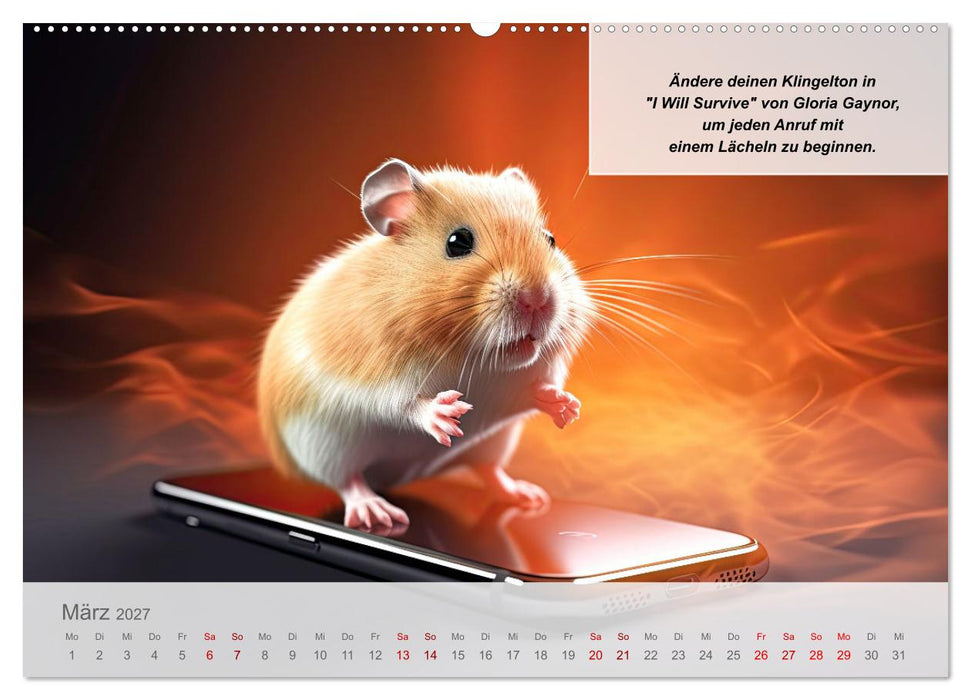 Endlich erfolgreich geschieden (CALVENDO Premium Wandkalender 2027)