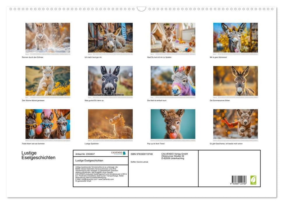 Lustige Eselgeschichten (CALVENDO Wandkalender 2027)