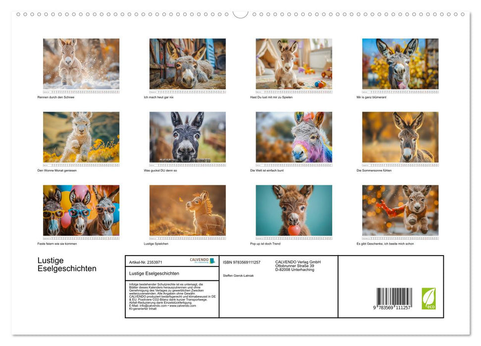 Lustige Eselgeschichten (CALVENDO Premium Wandkalender 2027)