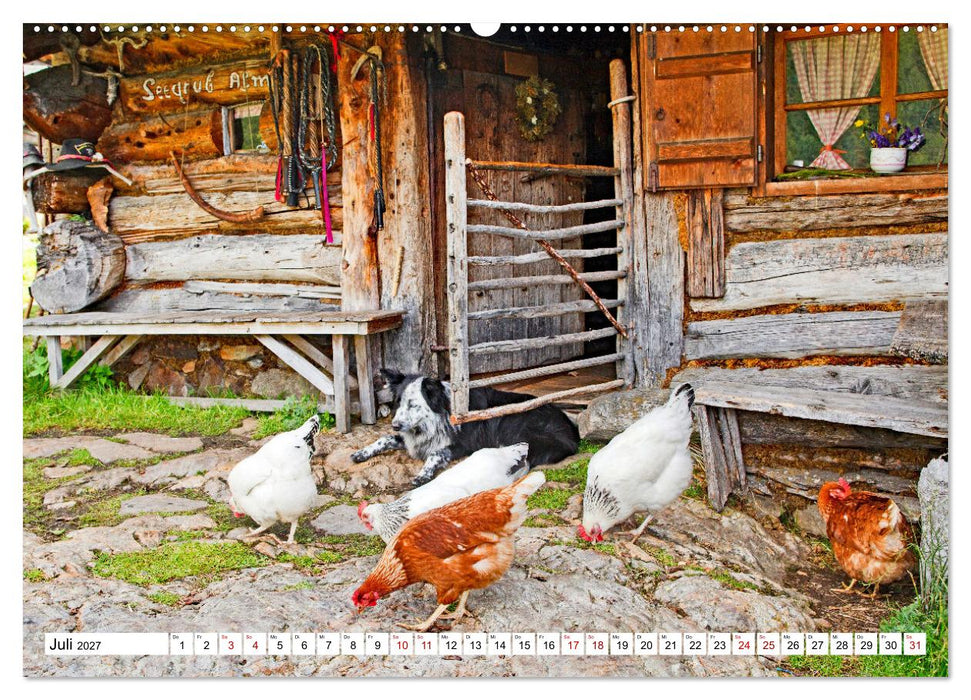 Almen im Südtiroler Ultental (CALVENDO Premium Wandkalender 2027)