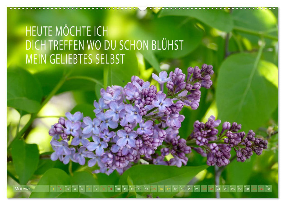 Haiku Poesie in Wort und Bild (CALVENDO Wandkalender 2027)