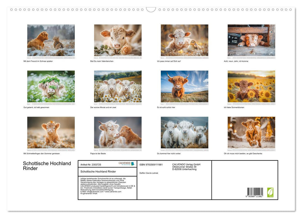 Schottische Hochland Rinder (CALVENDO Wandkalender 2027)
