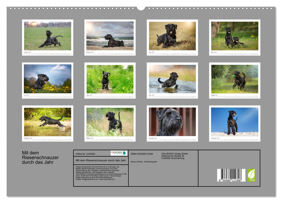 Mit dem Riesenschnauzer durch das Jahr (CALVENDO Premium Wandkalender 2027)
