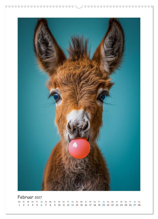 Lustige Esel (CALVENDO Wandkalender 2027)