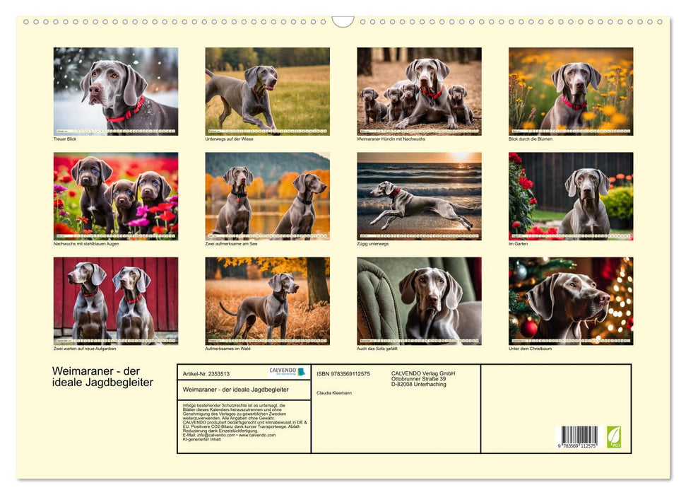 Weimaraner - der ideale Jagdbegleiter (CALVENDO Wandkalender 2027)