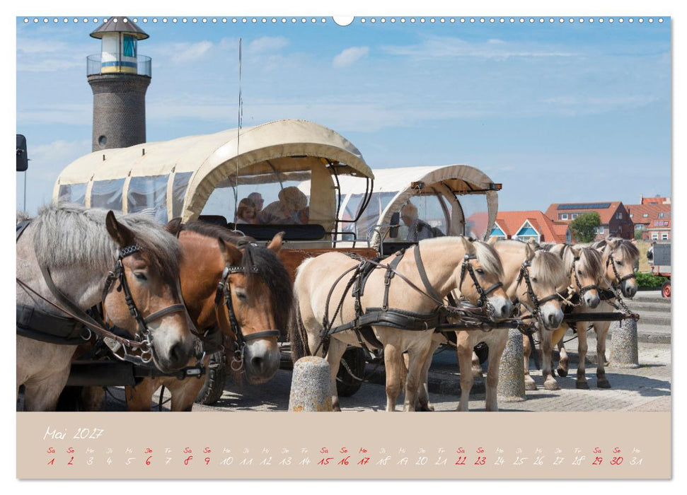 "Töwerland" Juist (CALVENDO Premium Wandkalender 2027)