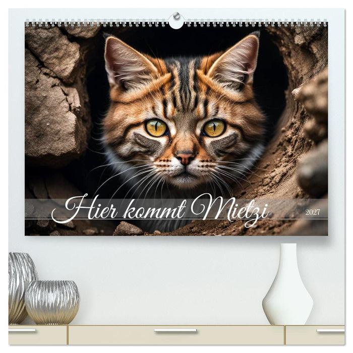 Hier kommt Mietzi (CALVENDO Premium Wandkalender 2027)