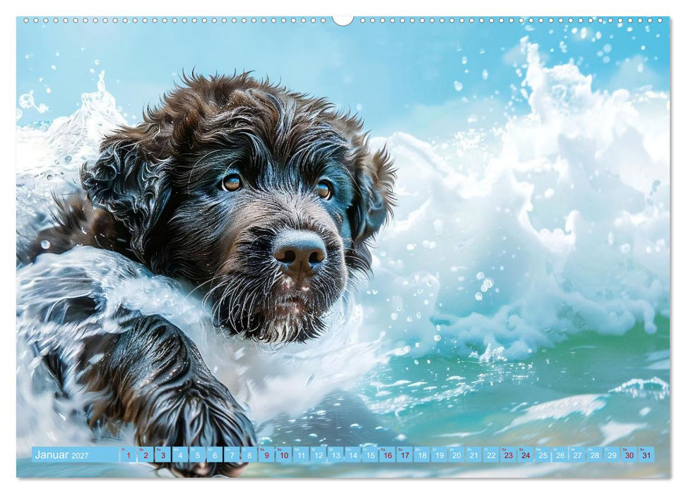Hunde und Wasser (CALVENDO Premium Wandkalender 2027)