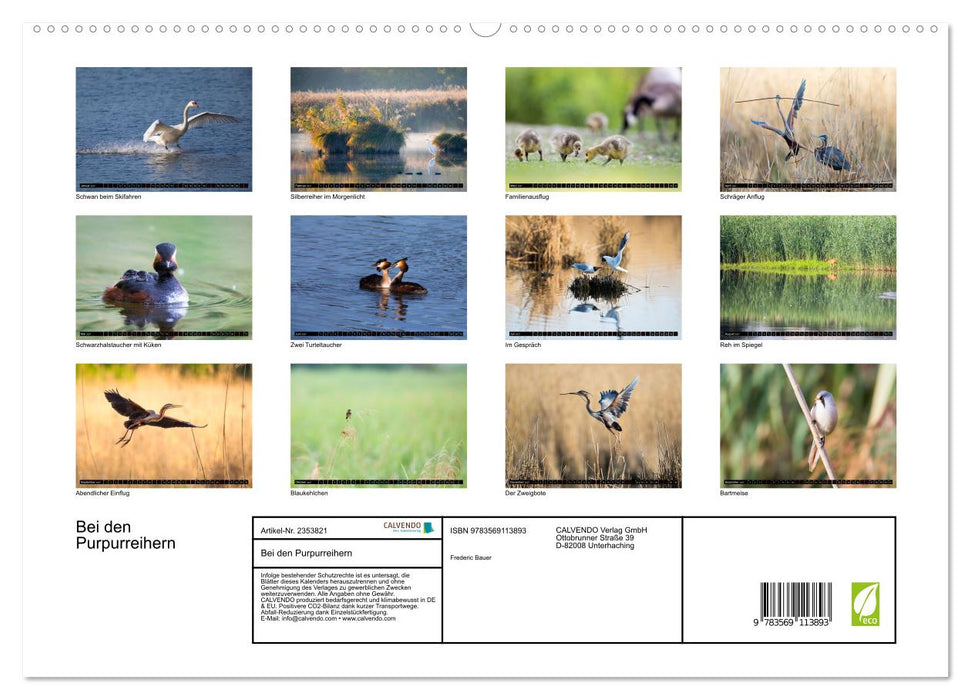 Bei den Purpurreihern (CALVENDO Premium Wandkalender 2027)