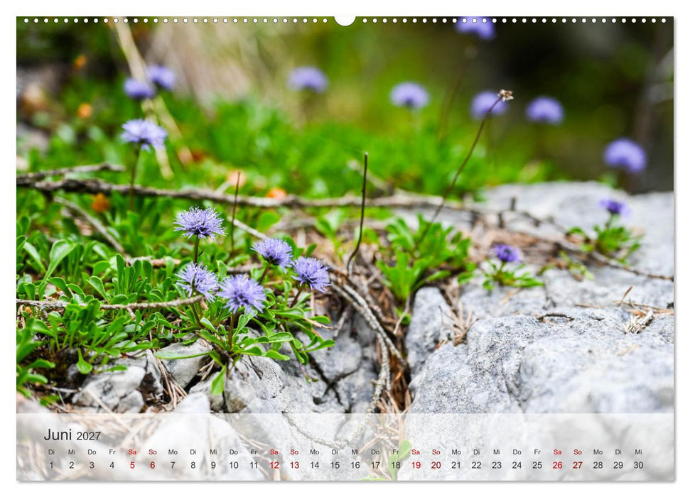 Alpenwelten-Zwischen Wetterstein und Karwendel (CALVENDO Premium Wandkalender 2027)