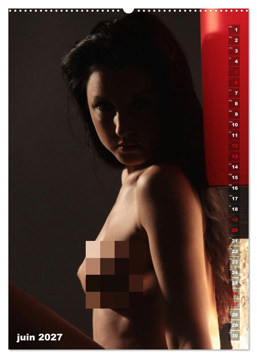 Le feu rouge (CALVENDO Calendrier mensuel 2027)