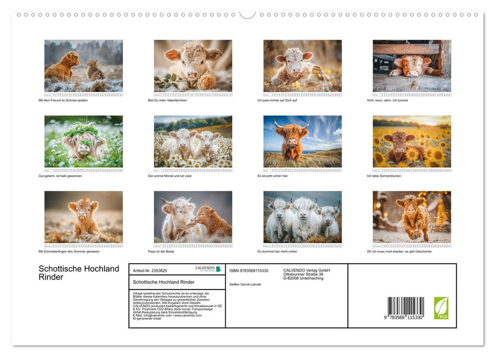 Schottische Hochland Rinder (CALVENDO Premium Wandkalender 2027)