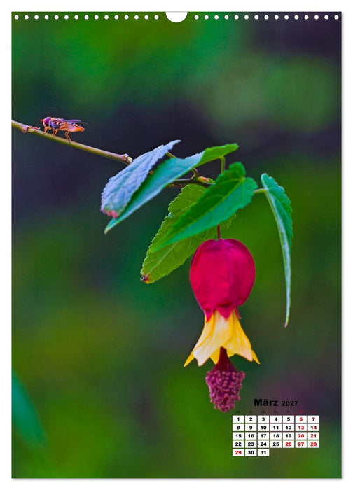Spaß mit bunten Blümchen (CALVENDO Wandkalender 2027)