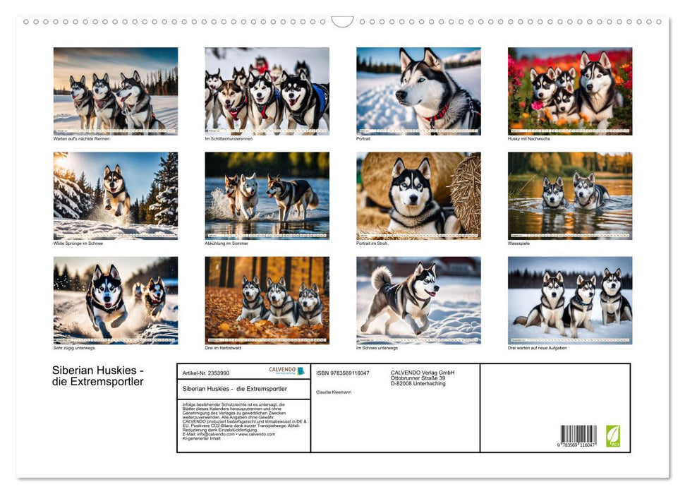 Siberian Huskies - die Extremsportler (CALVENDO Wandkalender 2027)