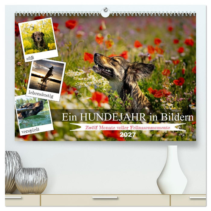 Ein Hundejahr in Bildern (CALVENDO Premium Wandkalender 2027)