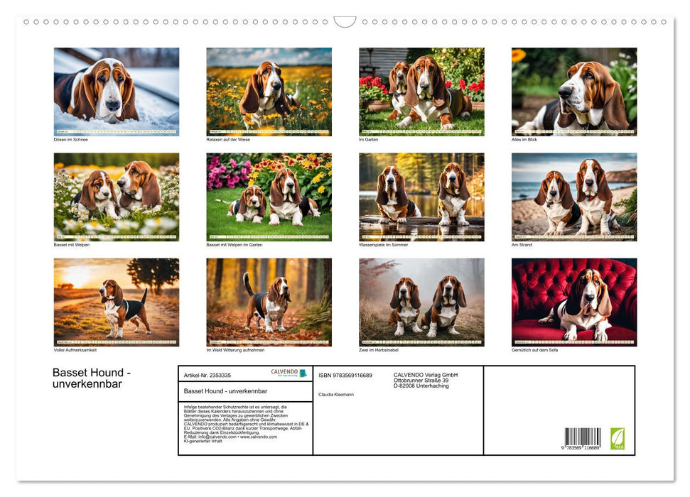 Basset Hound - unverkennbar (CALVENDO Wandkalender 2027)
