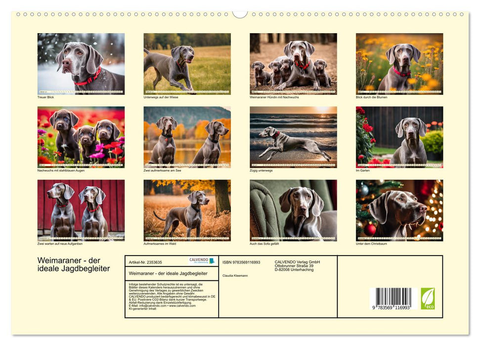Weimaraner - der ideale Jagdbegleiter (CALVENDO Premium Wandkalender 2027)
