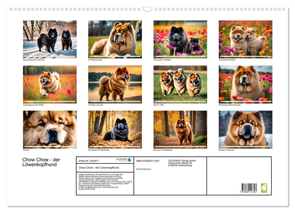 Chow Chow - der Löwenkopfhund (CALVENDO Wandkalender 2027)