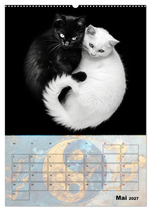 Sei das Yin zu meinem Yang (CALVENDO Wandkalender 2027)