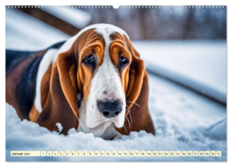 Basset Hound - unverkennbar (CALVENDO Premium Wandkalender 2027)