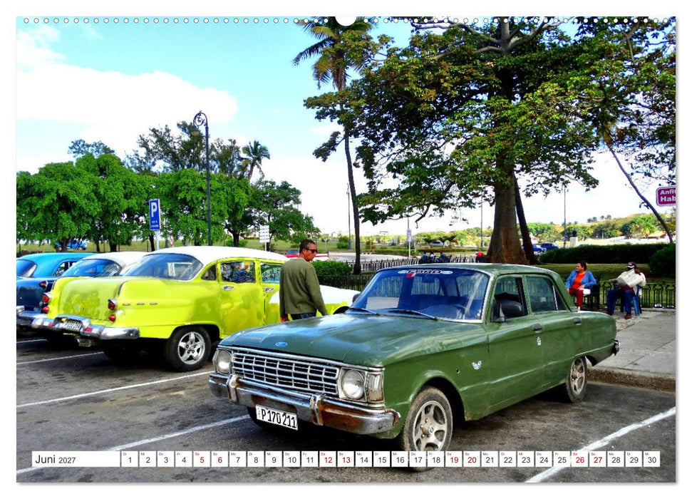 Ford Falcon (CALVENDO Premium Wandkalender 2027)