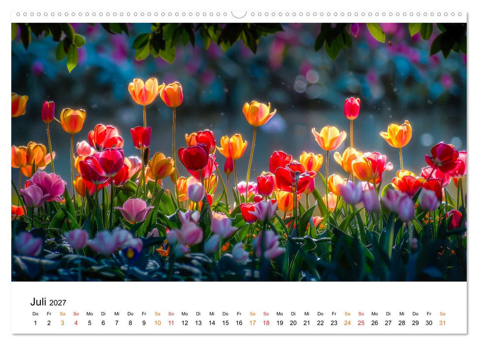 Tulpen - ein Farbenmeer (CALVENDO Premium Wandkalender 2027)