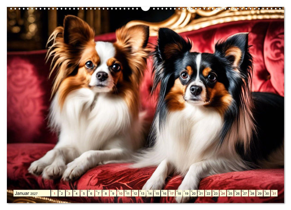 Papillon - bringt jedes Herz zum Schmelzen (CALVENDO Wandkalender 2027)