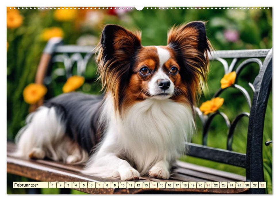 Papillon - bringt jedes Herz zum Schmelzen (CALVENDO Wandkalender 2027)