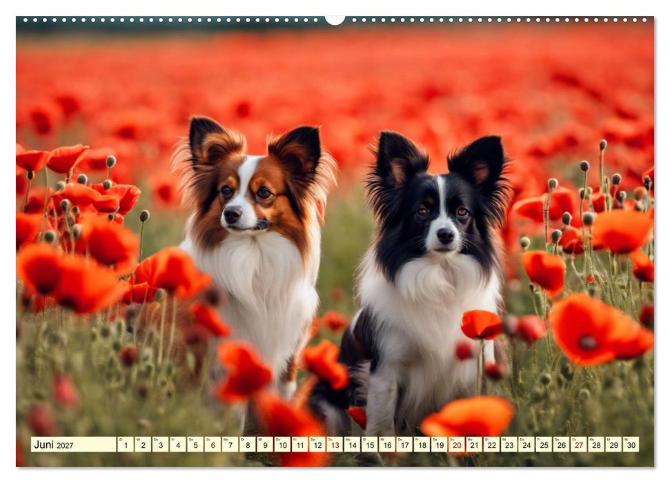 Papillon - bringt jedes Herz zum Schmelzen (CALVENDO Wandkalender 2027)