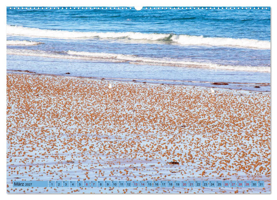Bretagne und Normandie - Vor der Flut beobachten und entdecken (CALVENDO Wandkalender 2027)