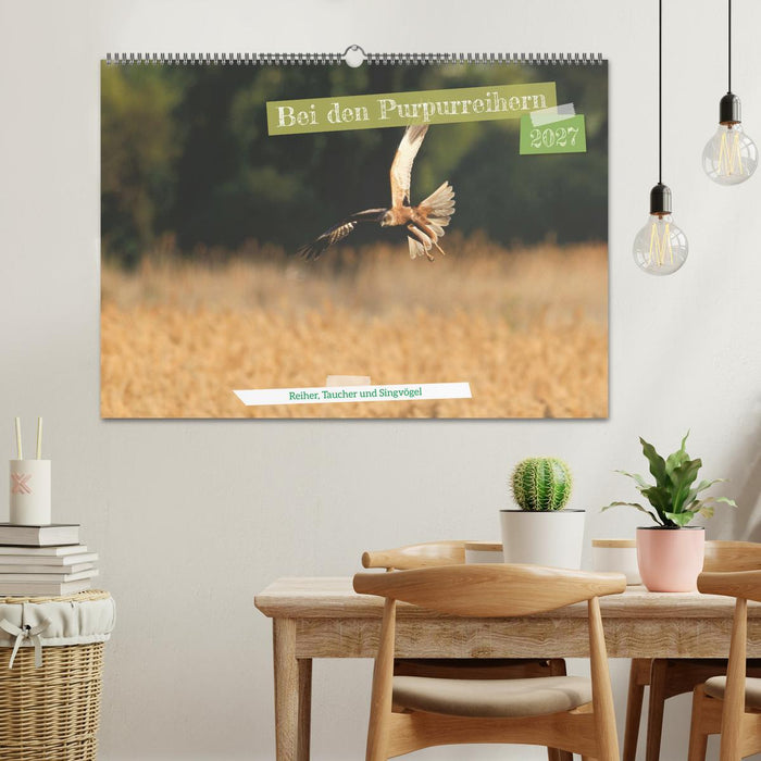 Bei den Purpurreihern (CALVENDO Wandkalender 2027)