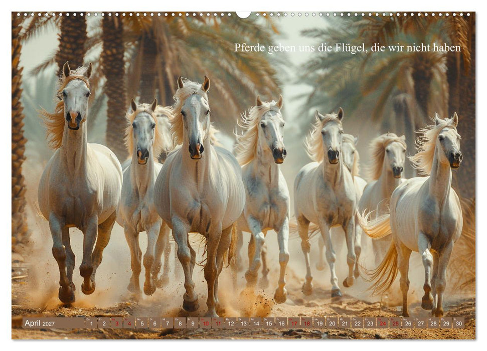 Pferde vervollständigen dein Leben (CALVENDO Wandkalender 2027)