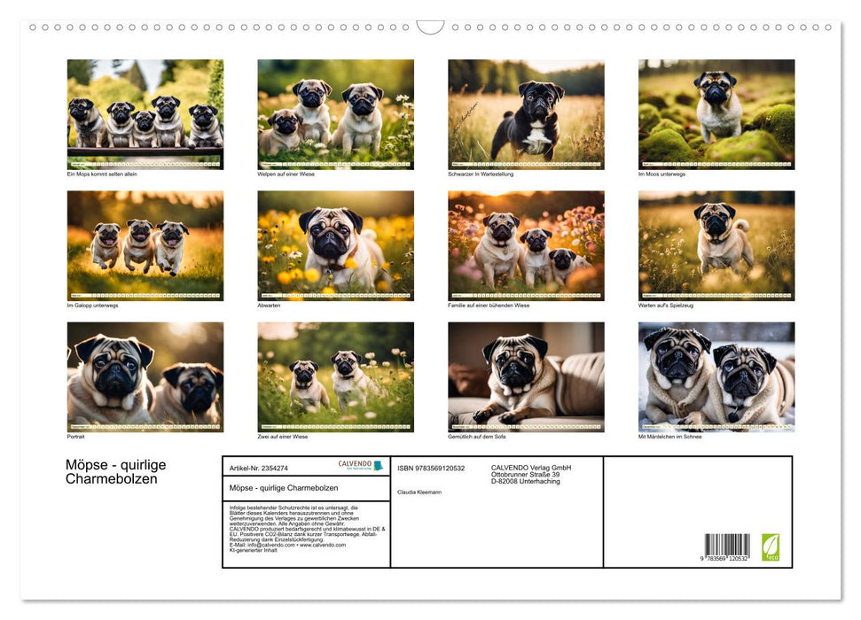 Möpse - quirlige Charmebolzen (CALVENDO Wandkalender 2027)