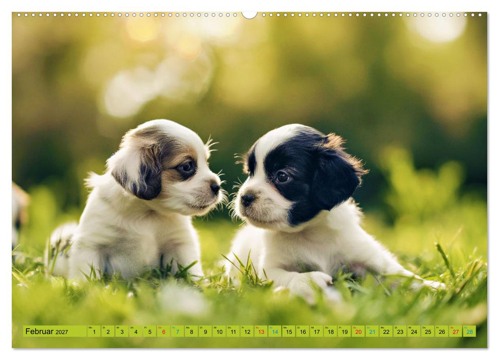 Tierkinder auf dem Land (CALVENDO Wandkalender 2027)
