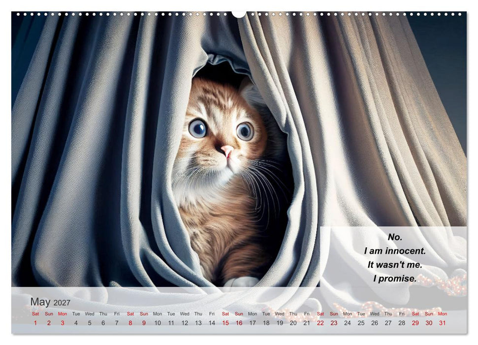 The humoristic cat guide (CALVENDO Monthly Calendar 2027)