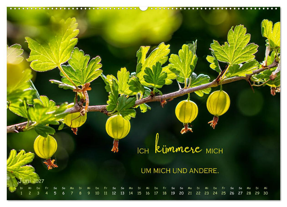 Weibliche Kraft - 12 Impulse zu deiner Wirksamkeit als Frau (CALVENDO Wandkalender 2027)