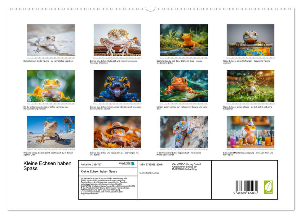 Kleine Echsen haben Spass (CALVENDO Premium Wandkalender 2027)